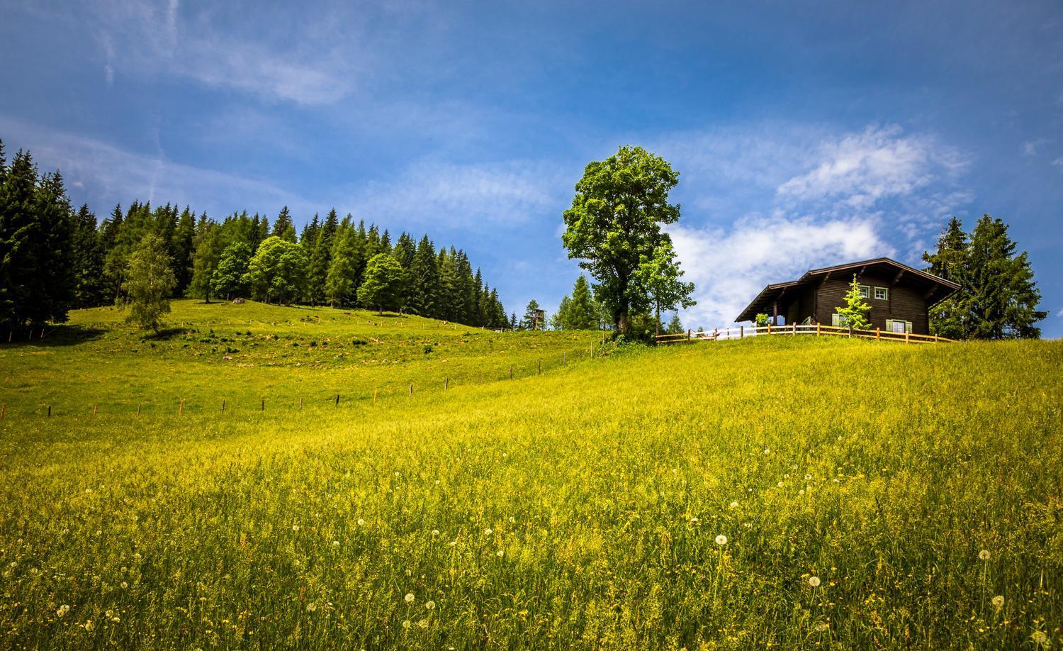 Ferienwohnung Bauernhof Auhof Wagrain Exterior foto